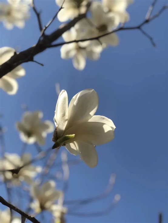 D:\我的文檔\WeChat Files\K646557966\FileStorage\Temp\d50923fb09c1f4da175be466e81a4e9c.jpg